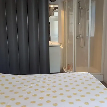 شقة Proche Commerces, Spacieux Pavillon T3 Climatise Avec Jardin - 6vg490 سان سيبريان